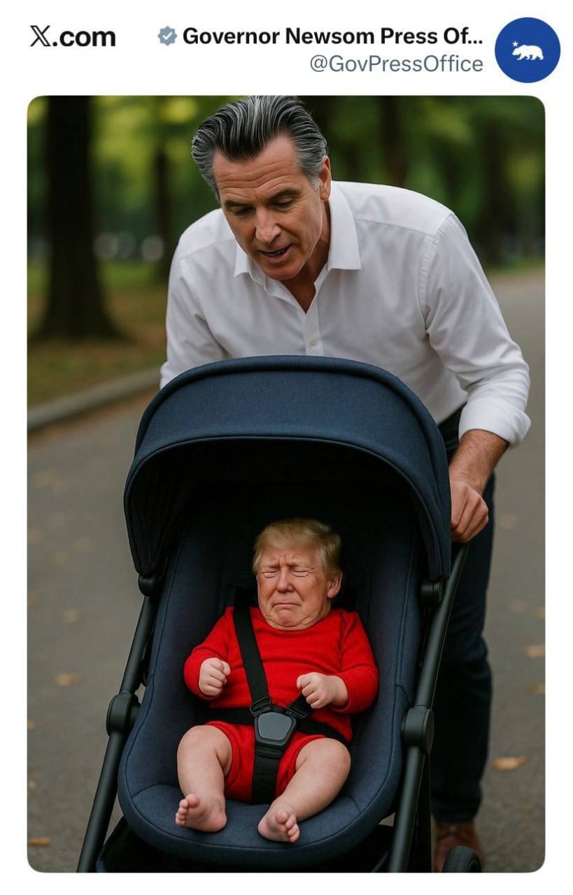 کنایه گوین نیوسام به ترامپ (1)