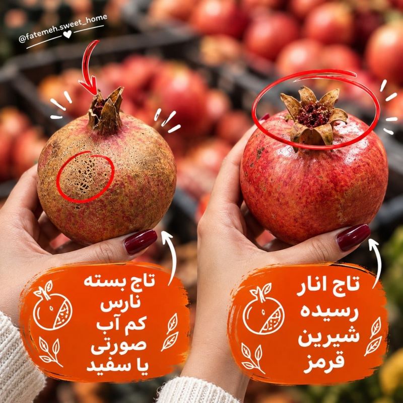 راهنمای انتخاب بهترین میوه و صیفی جات با چند نکته ساده + عکس (3)