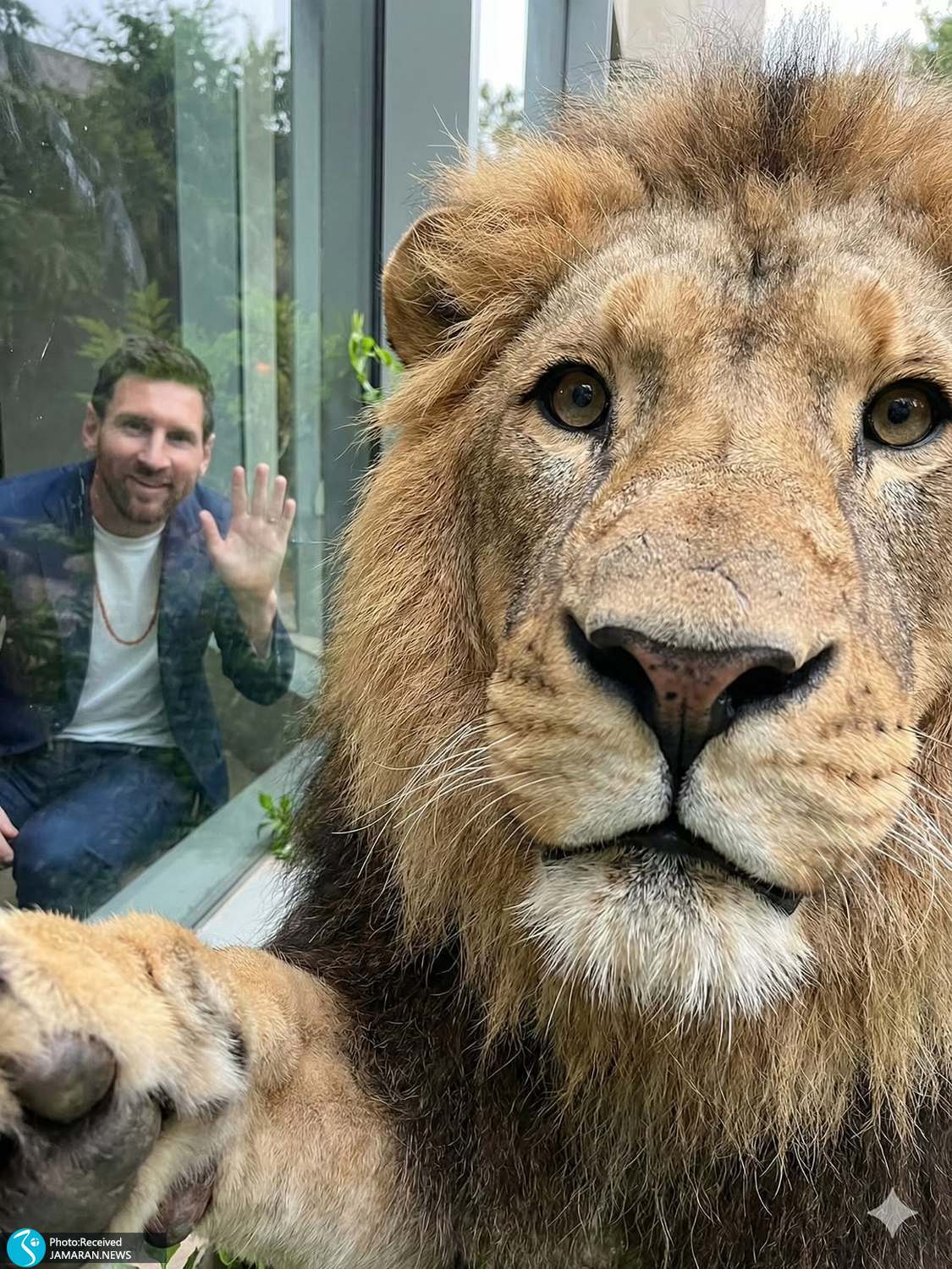 لحظات عجیب جهان ورزش