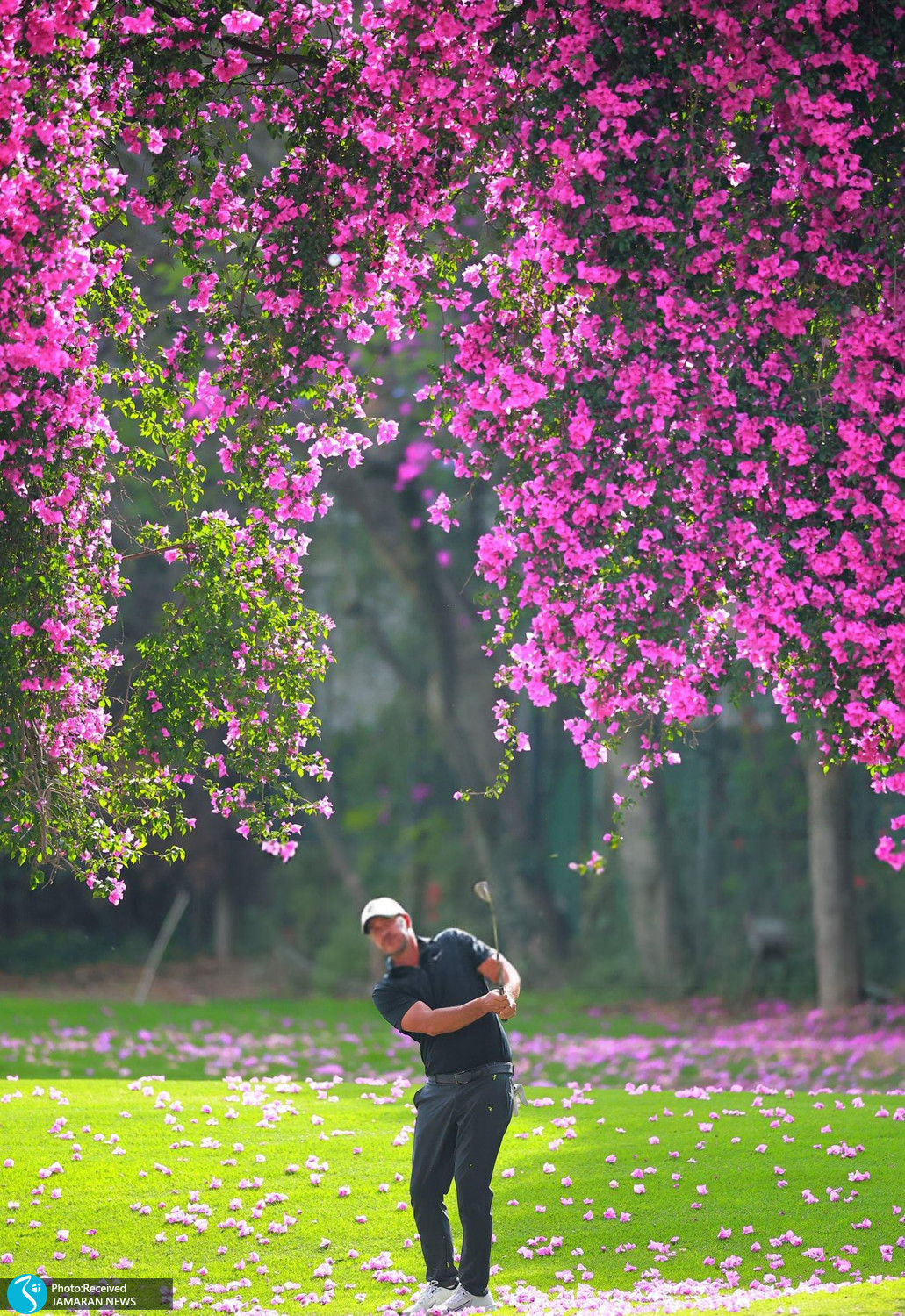 لحظات عجیب جهان ورزش