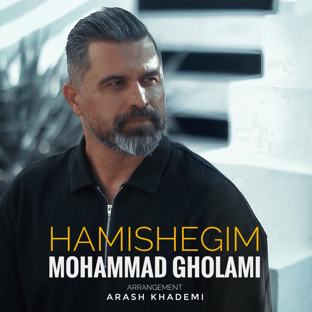 Mohammad Gholami - Hamishegim