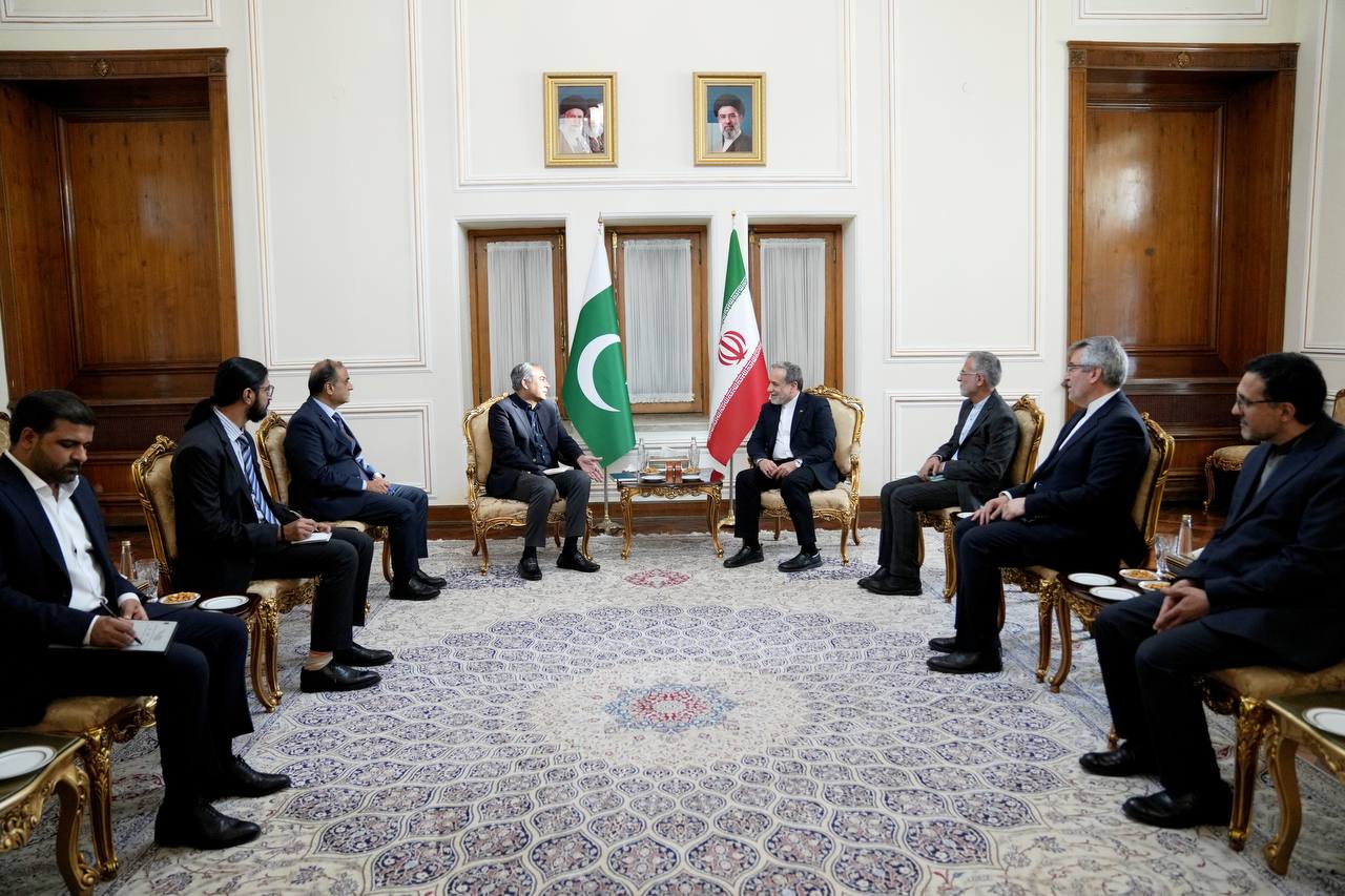 دیدار وزیر کشور پاکستان با عراقچی در تهران (1)