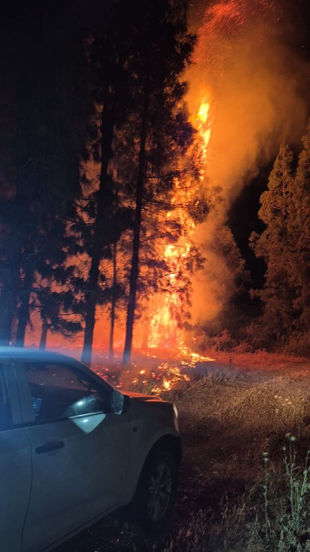 آتش سوزی در اسرائیل (1)