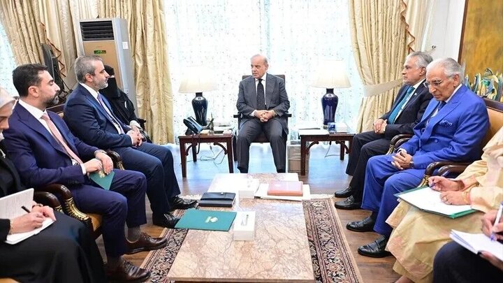 شعیباینی شهباز شریف