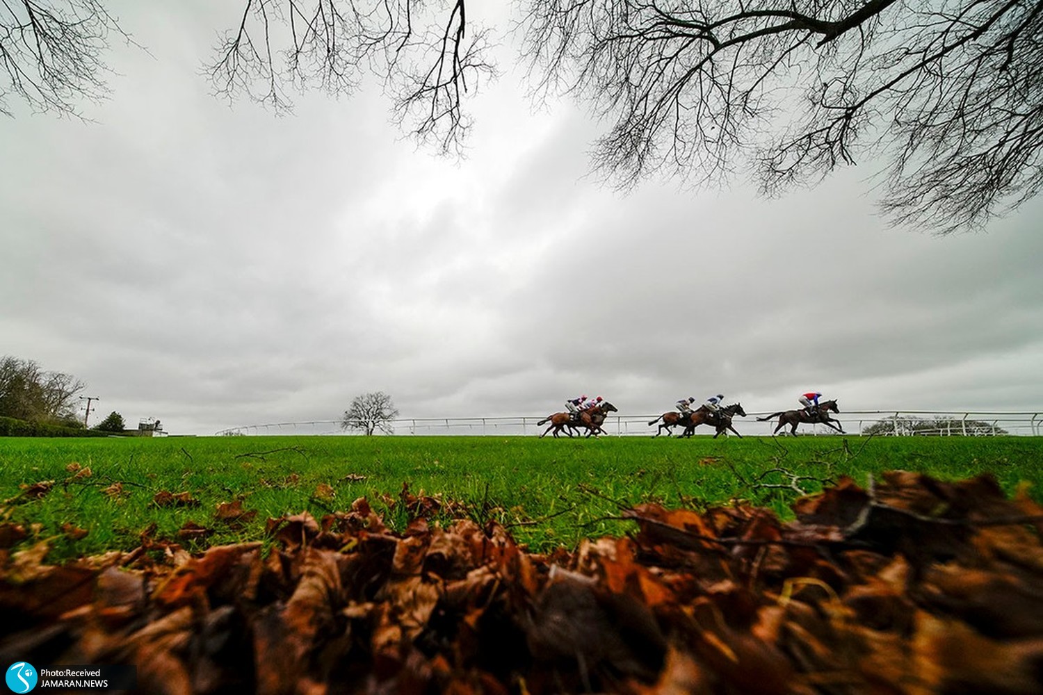 لحظات عجیب جهان ورزش