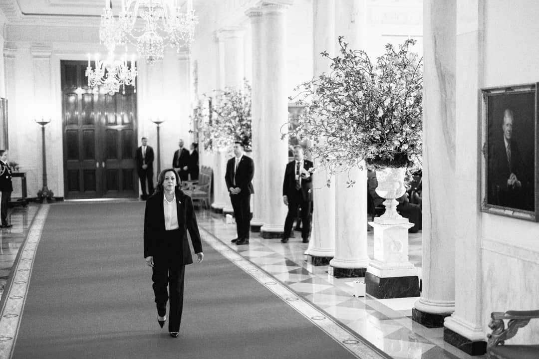 edf253cc-6517-403a-86dc-cd637053df6f