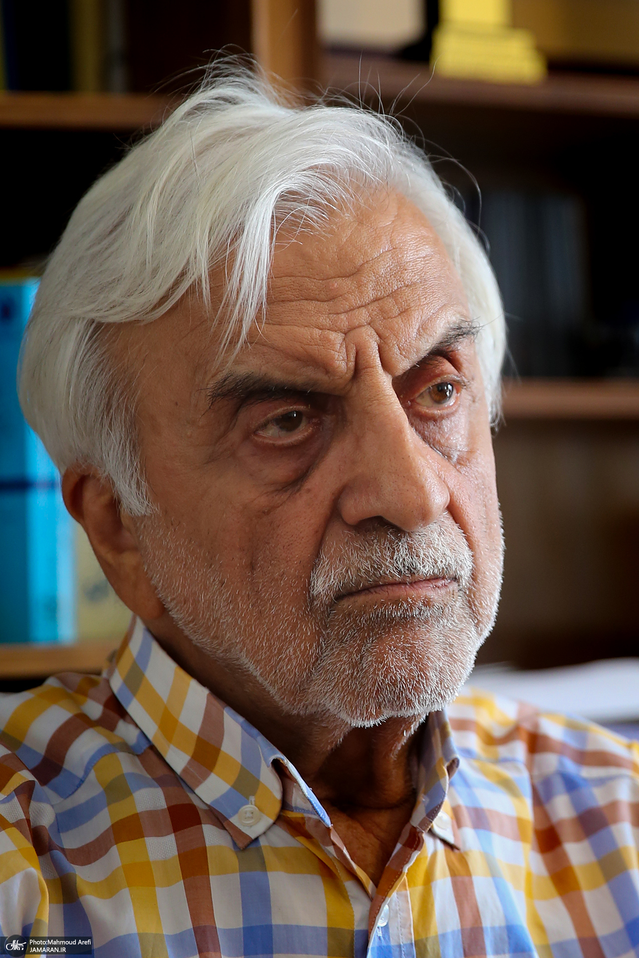 سید مصطفی هاشمی‌طبا / سید مصطفی هاشمی طبا