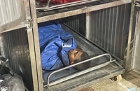 قتل‌عام ۳ خانواده فلسطینی در غزه توسط اسرائیل (3)