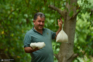 ییلاقات رودبار