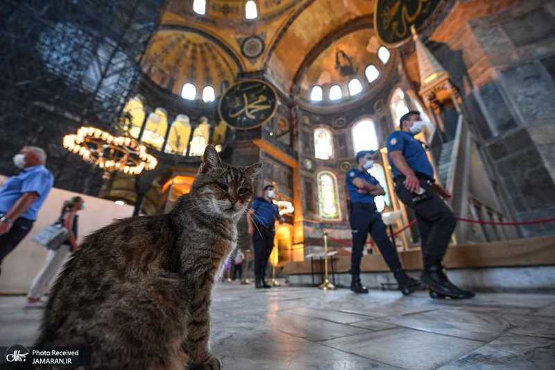 منتخب تصاویر امروز جهان- 21 تیر