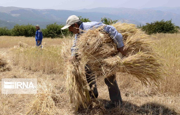 سند راهبردی توسعه بخش کشاورزی استان اردبیل تدوین شد