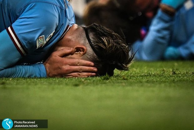 دستگیری پسر ۲۰ ساله به جرم سیلی زدن به گریلیش!