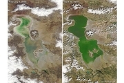 ناسا: دریاچه ارومیه دوباره جان گرفت + عکس