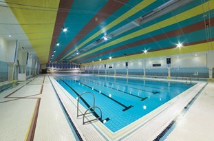 معرفی شناگران برتر در جام شنای موزون کشور