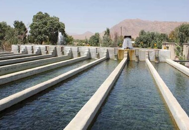 تشدید اقدام های بهداشتی دامپزشکی کرمانشاه در مزارع پرورش ماهی