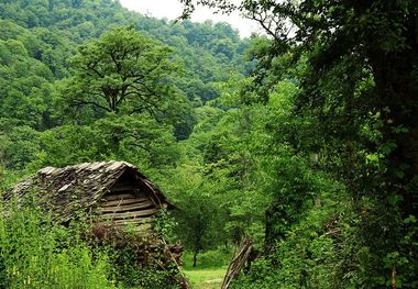 بابل نوازش دهنده چشم گردشگران در ایام نوروز