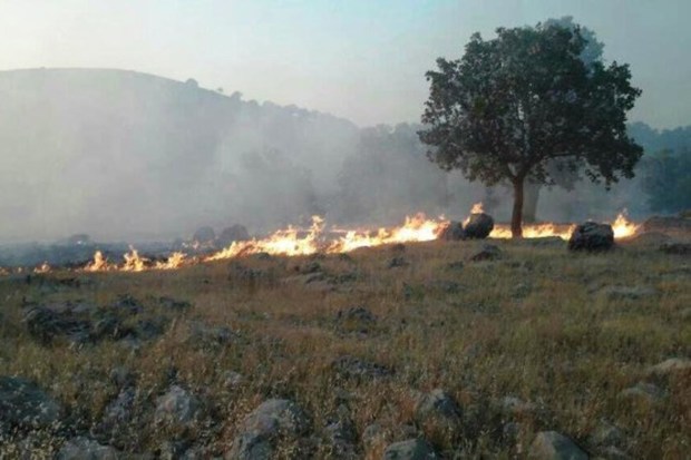 بخش وسیعی از مراتع شهرستان چادگان در آتش سوخت