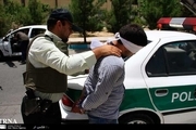دستگیری سارق کابل و تجهیزات برقی در دورود