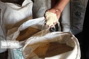 ثبات قیمت برنج در بازار مازندران