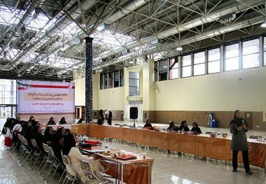 کارگاه تخصصی بهداشت مادر و کودک در ماکو برگزار شد