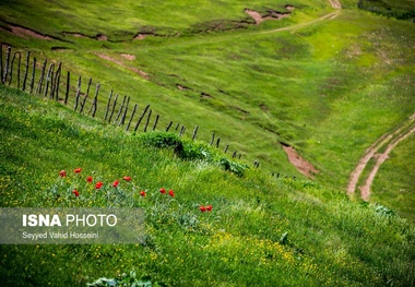 رویایی‌ترین جاده ایران + عکس