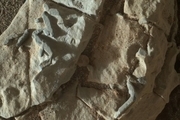شواهد تازه ای از وجود حیات در مریخ کشف شد