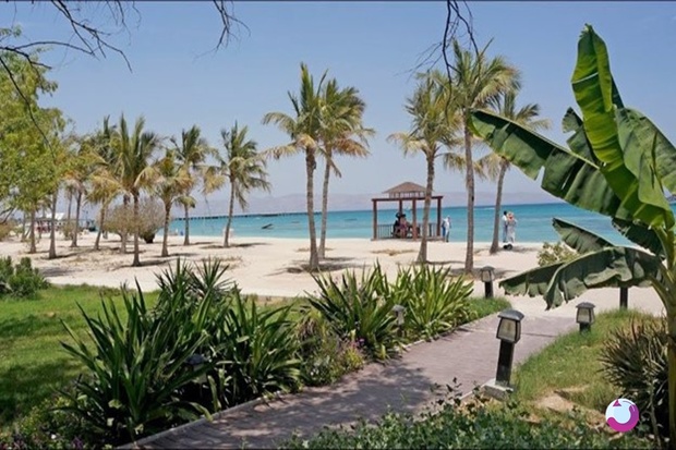 تور کیش مخصوص کسانی که حوصله برنامه‌ریزی برای سفر ندارند