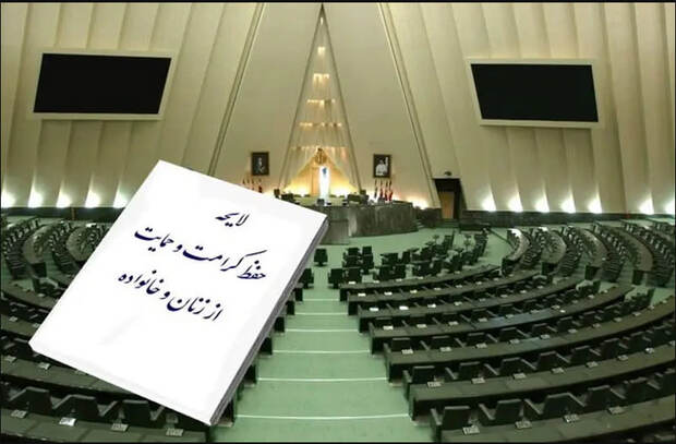بابایی کارنامی: دولت لایحه حمایت از زنان برابر خشونت را پس نگرفته است/ جعفری‌آذر: معنی ندارد دولت لایحه خودش را پس بگیرد