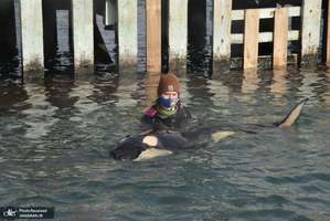 منتخب تصاویر امروز جهان- 23 تیر 1400