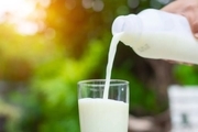افزودن وایتکس به شیر صحت دارد؟