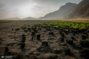 منتخب تصاویر امروز جهان- 12 شهریور 1400