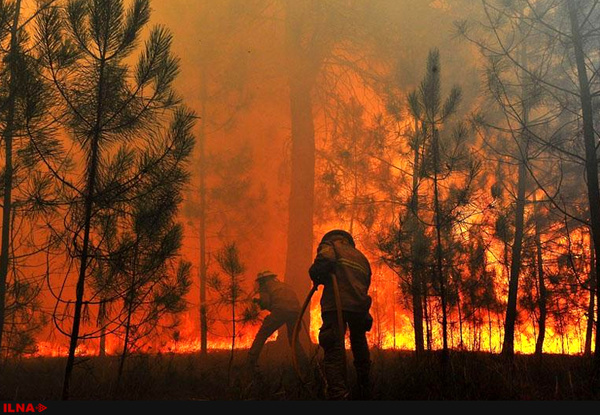 آتش‌سوزی بیش از 2 هزار هکتار از جنگل‌های آمل  عامل انسانی علت حادثه