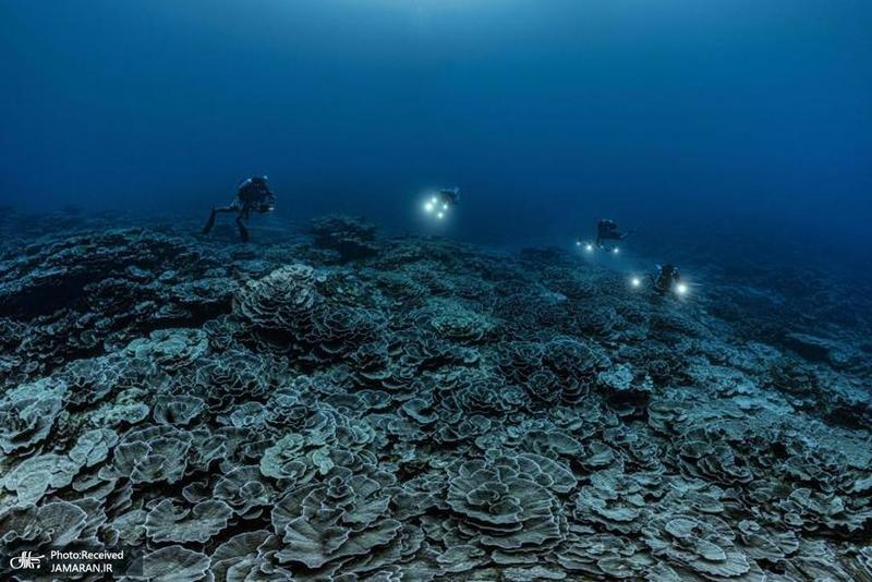 منتخب تصاویر امروز جهان- 1 بهمن 1400