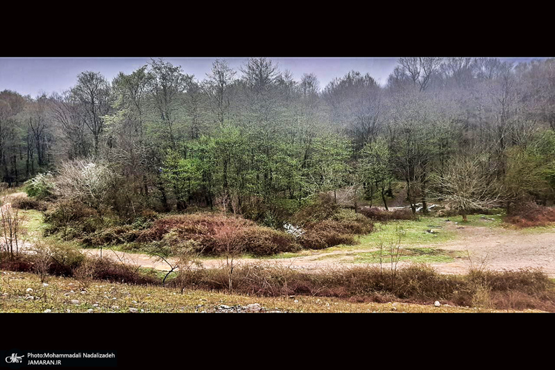 دریاچه آویدر نوشهر