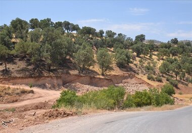 جزییات عجیب واگذاری ۸۰ هکتار از بهترین اراضی ملی شهرستان دماوند با تخفیف ۵۰ درصدی!
