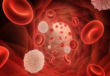 افت گلبول سفید خون، زنگ خطر سلامت بدن
