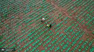 منتخب تصاویر امروز جهان - 19 مهر 1401