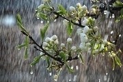 متوسط دریافت بارش در استان مرکزی ۴۱ درصد افزایش یافته است