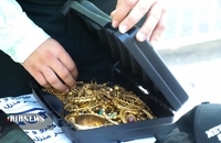 طرح دستگیری زورگیران خشن تهران اجرا شد (3)