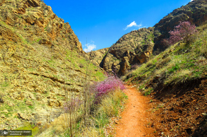 تنگه لی لی دورود