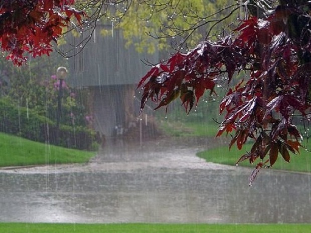 بارندگی بهاری در بوکان 87 درصد افزایش یافت