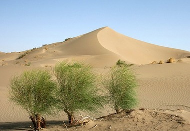 شرایط آب و هوایی اردکان، اهمیت منابع طبیعی را دوچندان کرده است