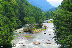 طبیعت افسونگر «سوادکوه»