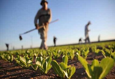 رفع تداخل 270 هزار هکتار از اراضی همدان