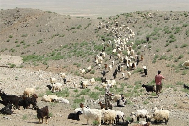 خشکسالی درعرصه های طبیعی جدی است