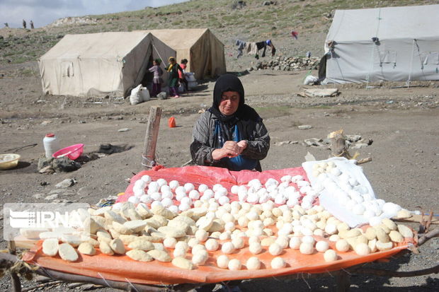 چهار صندوق خرد محلی زنان روستایی درباشت ایجاد شد