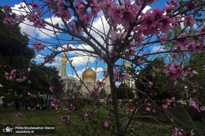 روز طبیعت در حرم مطهر حضرت امام خمینی(س) -1