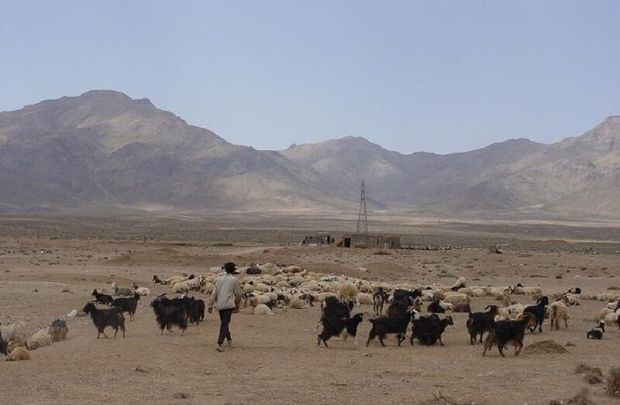 پنج میلیارد ریال در مناطق عشایری ابرکوه هزینه شد