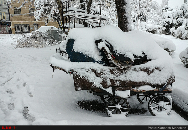 سرمای 11 درجه زیر صفر در فیروزکوه   خسارت سرما به کشاورزان منطقه