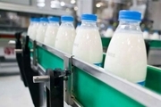 مدیر جهاد کشاورزی : تولیدروزانه  شیر در ابرکوه ۲۰ تن افزایش یافت